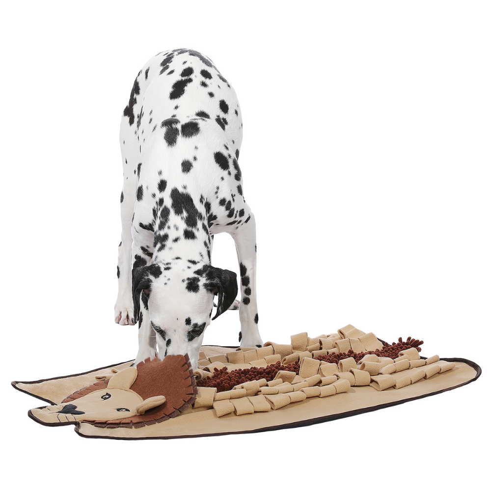Pet Dog Snuffle Mat Smell Sniffing Training Pad Interactive Dog Puzzle Toys