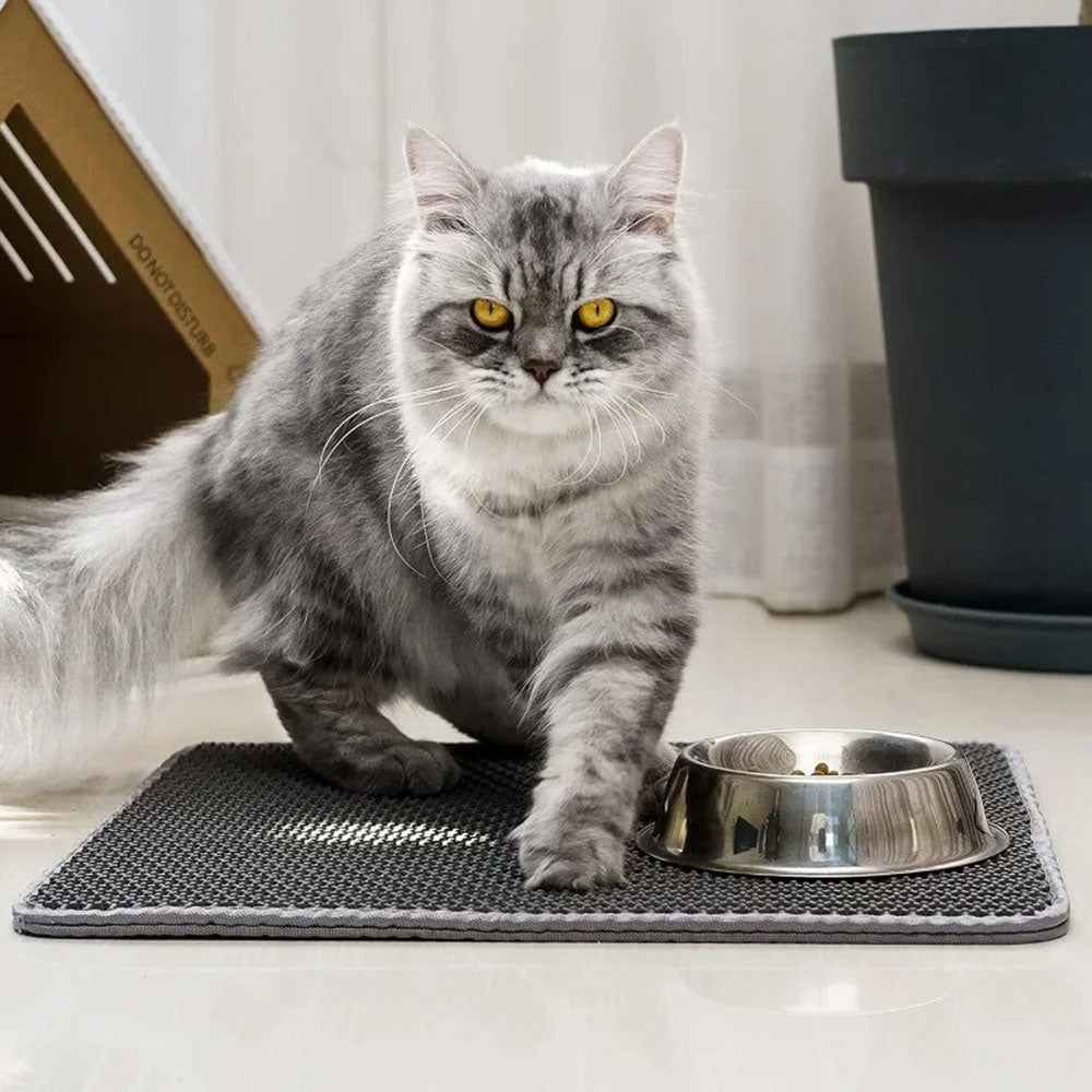 Double Layer Waterproof Cat Litter Mat Non-slip Washable Cat Sand Mat