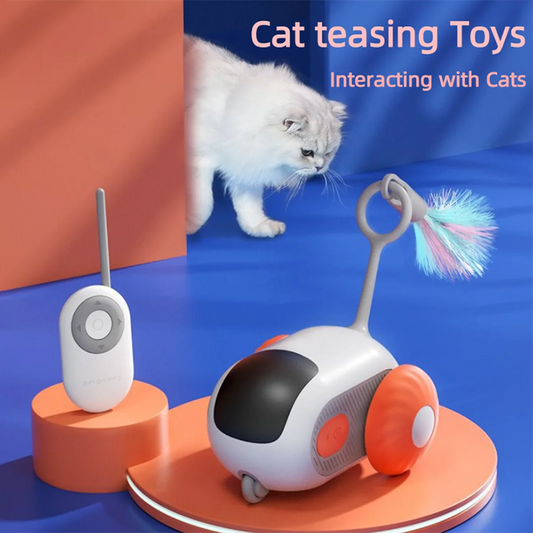 Rechargeable Interactive Remote Control Toy Car for Cats