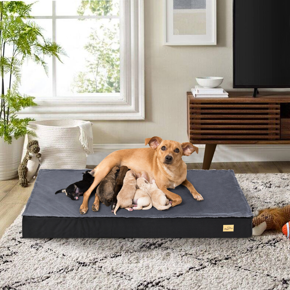 Comfy Orthopedic Dog Bed - Washable for Easy Maintenance - Perfect for Restful Sleep!