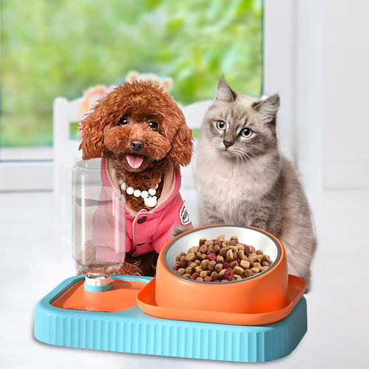 3 in 1 Pet Food Container with Automatic Drinking Bottle