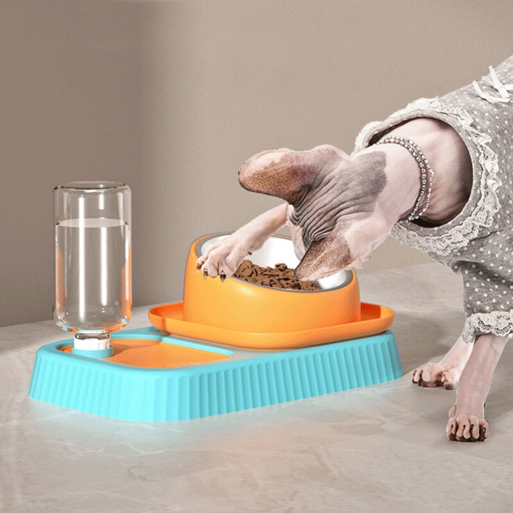 3 in 1 Pet Food Container with Automatic Drinking Bottle