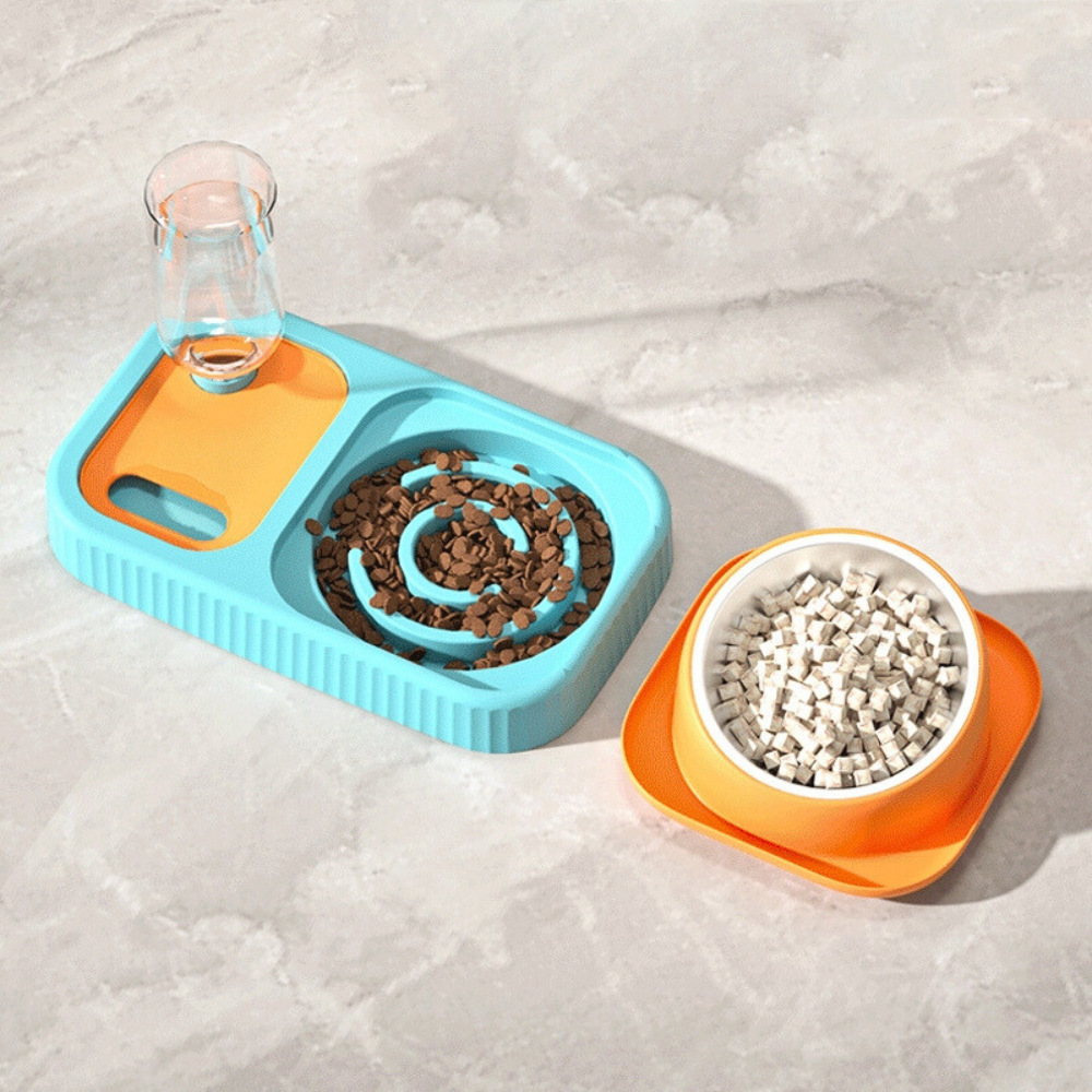 3 in 1 Pet Food Container with Automatic Drinking Bottle