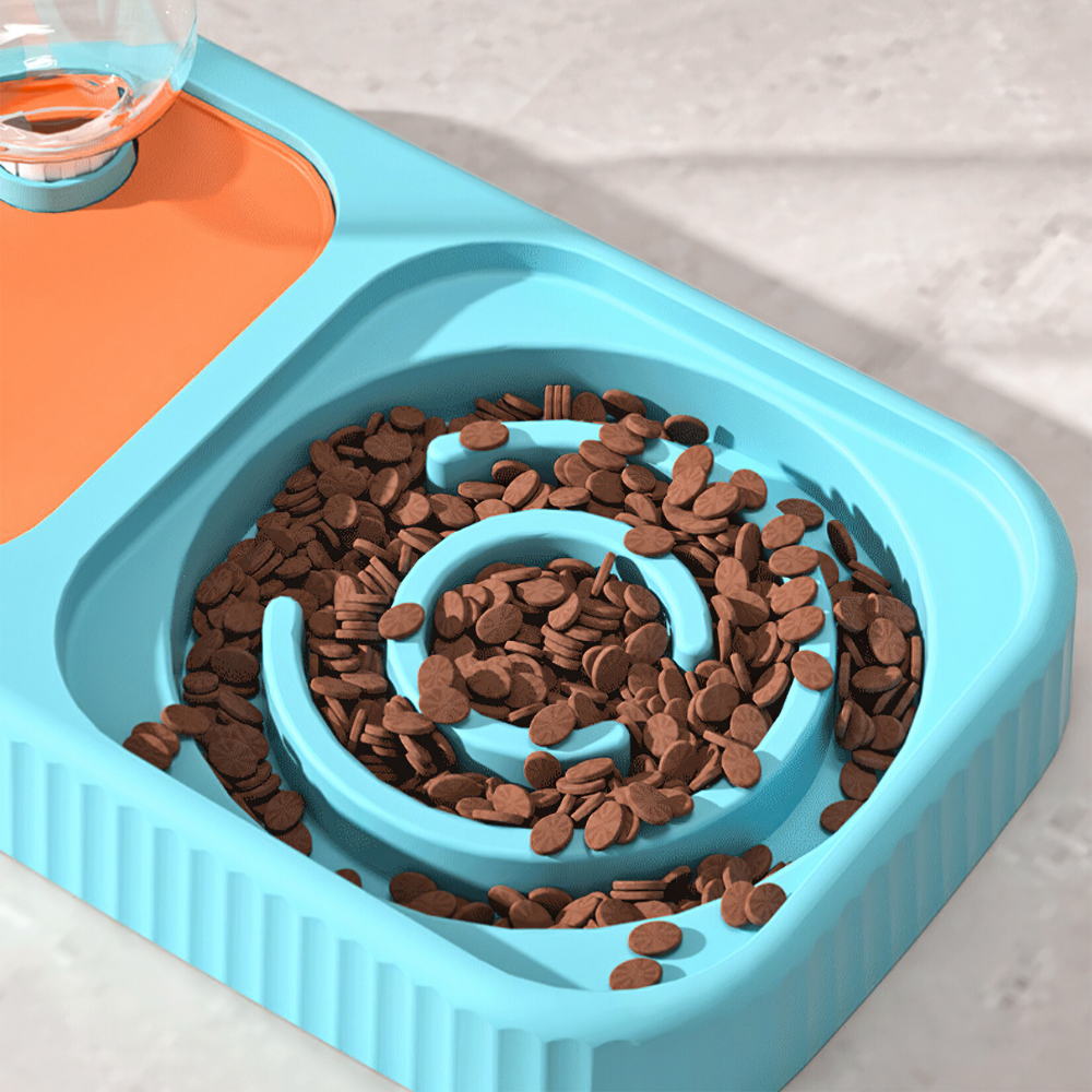 3 in 1 Pet Food Container with Automatic Drinking Bottle