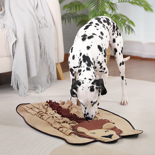Pet Dog Snuffle Mat Smell Sniffing Training Pad Interactive Dog Puzzle Toys